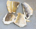 Codfish and sea bream macro