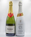 Codorniu and Anna Blanc de Blanc sparkling cava wine bottles