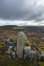 Coed Y Brenin Forest Mile Stone