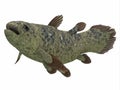 Coelacanth Fish Side Profile