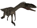 Coelophysis- 3D Dinosaur Royalty Free Stock Photo