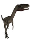 Coelophysis- 3D Dinosaur Royalty Free Stock Photo