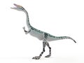 A Coelophysis Royalty Free Stock Photo