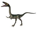 Coelophysis dinosaur - 3D render Royalty Free Stock Photo