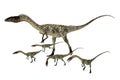 Coelophysis Dinosaur with Young during the Triassic Period of North America