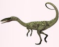 Coelophysis Profile Royalty Free Stock Photo