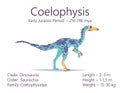 Coelophysis. Theropoda dinosaur. Colorful vector illustration of prehistoric creature coelophysis and description of Royalty Free Stock Photo