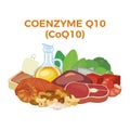 Coenzyme Q10 (CoQ10) in food icon vector