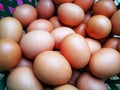 Close-up View Of Raw Chicken Eggs.