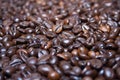 Cofe grains Royalty Free Stock Photo