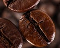Cofee beans Royalty Free Stock Photo