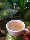 Cofee time in the garden. Royalty Free Stock Photo