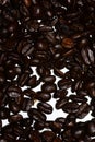 Coffe beans and copy space in cup Royalty Free Stock Photo