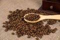 Coffe beans with a coffe grinder Royalty Free Stock Photo