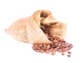 Coffe beans isolated Royalty Free Stock Photo