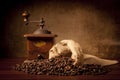 Coffe beans with juta bag and grinder Royalty Free Stock Photo