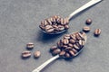 Coffe beans in steel spoons on black Royalty Free Stock Photo