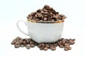 Coffe cup and beans Royalty Free Stock Photo