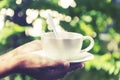 Coffe cup in the Garden. Royalty Free Stock Photo