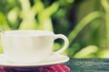 Coffe cup in the Garden. Royalty Free Stock Photo