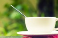 Coffe cup in the Garden. Royalty Free Stock Photo
