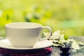 Coffe cup in the Garden. Royalty Free Stock Photo