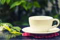 Coffe cup in the Garden. Royalty Free Stock Photo