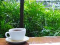 Coffe cup and green garden Royalty Free Stock Photo