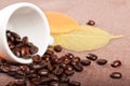 Coffe cup and leaves Royalty Free Stock Photo