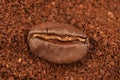 Coffe grain in a boakground of ground coffe