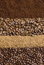 coffee Royalty Free Stock Photo