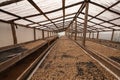 Coffee agronomy drying beans in hangar with foof Royalty Free Stock Photo