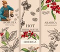 658_coffee, arabica, robusta, liberica
