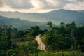 coffee area landscape in colombia Royalty Free Stock Photo