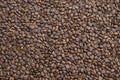 Coffee background, roasted beans texture Royalty Free Stock Photo