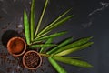 Coffee background of roasted coffee beans and grounded coffee powder in wooden cups with green leaves on black marble background Royalty Free Stock Photo