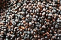 Coffee bean Royalty Free Stock Photo