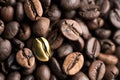 Coffee bean background Royalty Free Stock Photo