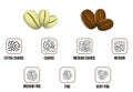 Set of coffee beans transforming from white to black roasted or coffee stages roasting. eps vector.