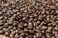 Coffee bean,Close-up Coffee bean select focus,Coffee beans stack together. Royalty Free Stock Photo