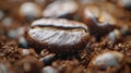 The coffee bean closeup. AI generated Royalty Free Stock Photo