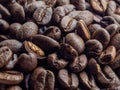 Coffee bean closeup with imperfect beans