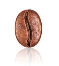 Coffee bean closeup isolated on white background Royalty Free Stock Photo
