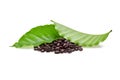 Coffee bean with coffee leaf isolated on white background Royalty Free Stock Photo