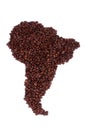 Coffee Bean Continent