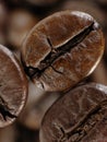 Coffee bean in deep shadows Royalty Free Stock Photo