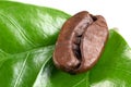 Coffee bean with green leaf on white background, isolate. concept: freshness of coffee beans. close up Royalty Free Stock Photo
