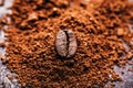 Coffee bean on heap of grinded coffee Royalty Free Stock Photo