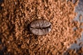 Coffee bean on heap of grinded coffee Royalty Free Stock Photo