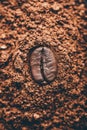 Coffee bean on heap of grinded coffee